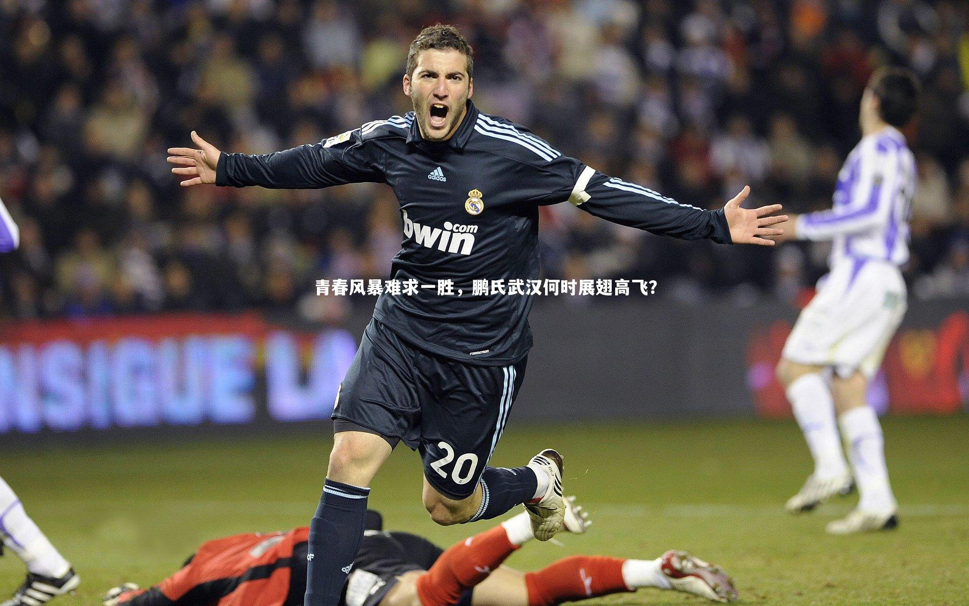 青春风暴难求一胜,鹏氏武汉何时展翅高飞?